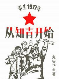 重生1977年从知青开始封面